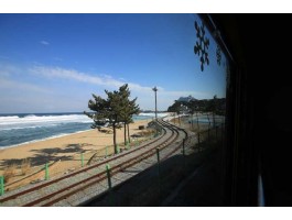[KTX-당일]바다 곁을 달리는 해안선열차와 바다부채길+묵호+강릉중앙시장