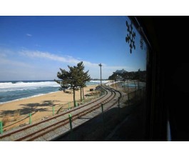 [KTX-당일]바다 곁을 달리는 해안선열차와 바다부채길+묵호+강릉중앙시장