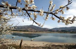 KTX - 섬진강 매화꽃 & 여수 해상케이블카 & 이사부크루즈 & 곡성기차마을 여행(1박2일)