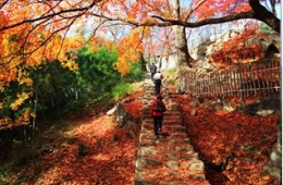 [S-train] 진안ㆍ마이산 & 전주 한옥마을 기차여행(당일)