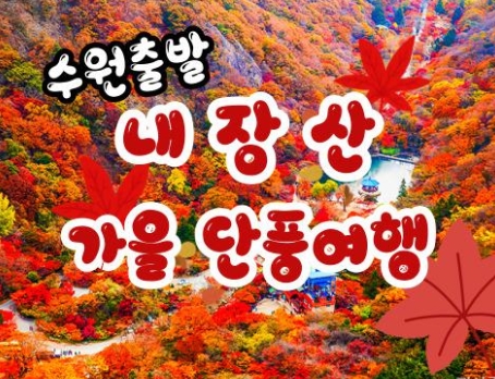 [수원역출발]새마을 - 가을여행의 1번지!! 내장산(내장사)가을단풍 여행(당일)-09:15