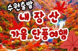 [수원역출발]새마을 - 가을여행의 1번지!! 내장산(내장사)가을단풍 여행(당일)-09:15