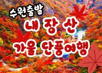 [수원역출발]새마을 - 가을여행의 1번지!! 내장산(내장사)가을단풍 여행(당일)-09:15
