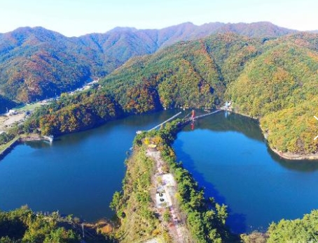 [수원역출발]KTX - 세계유산 산사!! 마곡사 가을단풍 & 청양 출렁다리 & 고운식물원 여행 (당일)