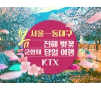 KTX - 환상의 진해벚꽃 & 군항제 여행 (당일) - 왕복 동대구역