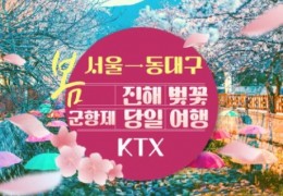 KTX - 환상의 진해벚꽃 & 군항제 여행 (당일) - 왕복 동대구역