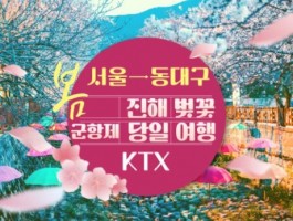 KTX - 환상의 진해벚꽃 & 군항제 여행 (당일) - 왕복 동대구역