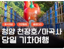 [수서역 출발] KTX - 세계유산 산사!! 마곡사 & 청양 출렁다리 & 고운식물원 여행(당일)