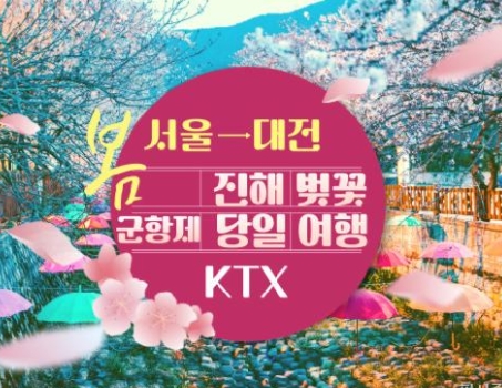 KTX - 환상의 진해벚꽃 & 군항제 여행 (당일) - 왕복 대전역