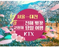 KTX - 환상의 진해벚꽃 & 군항제 여행 (당일) - 왕복 대전역
