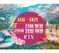 KTX - 환상의 진해벚꽃 & 군항제 여행 (당일) - 왕복 대전역