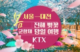 KTX - 환상의 진해벚꽃 & 군항제 여행 (당일) - 왕복 대전역