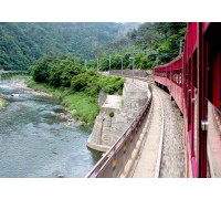 [ITX마음-당일]NEW*중식/음료제공*[협곡열차②] 분천산타마을+백두대간수목원