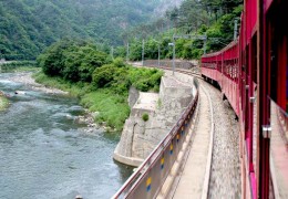 [ITX마음-당일]NEW*중식/음료제공*[협곡열차②] 분천산타마을+백두대간수목원