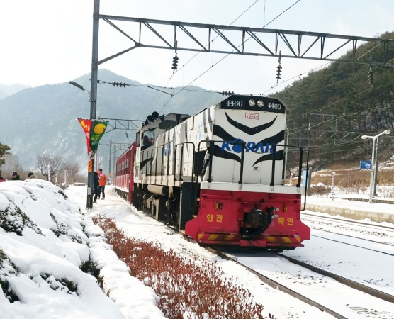 [협곡열차①]천혜의 자연경관을 달리는 협곡열차&영월명소&분천산타마을