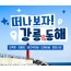 [KTX] 강릉 오죽헌 바다부채길 & 동해 도째비골 해랑전망대 당일 기차여행