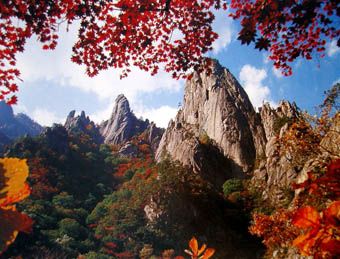 KTX - 설악산(남설악)가을단풍 & 오죽헌 여행(당일)