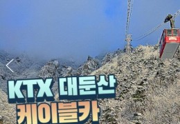 KTX - 대둔산 구름다리 눈꽃 & 케이블카 설경 & 뿌리공원 & 하늘물빛정원 여행(당일)