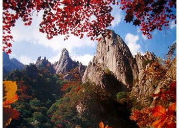 KTX - 설악산(남설악)가을단풍 & 오죽헌 여행(당일)