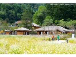 [KTX-당일]9월 평창시티 메밀향따라 이효석문학관＆평창효석문화