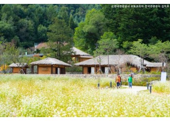 [KTX-당일]9월 평창시티 메밀향따라 이효석문학관＆평창효석문화