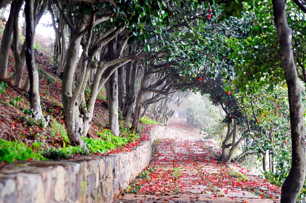 [KTX-2박](NEW)남해의 숨결 따라 외도/한산도/거제모노레일/장사도