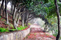 [KTX-2박](NEW)남해의 숨결 따라 외도/한산도/거제모노레일/장사도