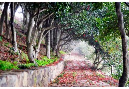 [KTX-2박](NEW)남해의 숨결 따라 외도/한산도/거제모노레일/장사도