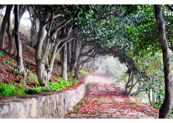 [KTX-2박](NEW)남해의 숨결 따라 외도/한산도/거제모노레일/장사도