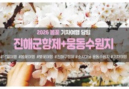 [경상권/충청권/수도권출발] 진해군항제&소사마을 웅동수원지(당일)