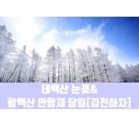 ★겨울눈꽃★[김천하차]태백산 눈꽃&함백산 만항재(당일)