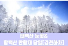 ★겨울눈꽃★[김천하차]태백산 눈꽃&함백산 만항재(당일)
