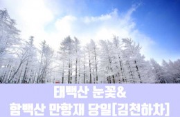 ★겨울눈꽃★[김천하차]태백산 눈꽃&함백산 만항재(당일)