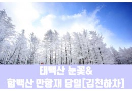 ★겨울눈꽃★[김천하차]태백산 눈꽃&함백산 만항재(당일)
