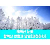 ★겨울눈꽃★[제천하차]태백산 눈꽃&함백산 만항재(당일)