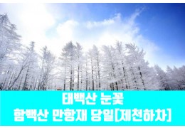 ★겨울눈꽃★[제천하차]태백산 눈꽃&함백산 만항재(당일)