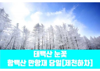 ★겨울눈꽃★[제천하차]태백산 눈꽃&함백산 만항재(당일)