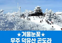 ★겨울눈꽃★무주 덕유산 곤도라&머루와인동굴(당일)