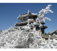 [KTX] 무주 덕유산 곤도라&영동 와인터널 하루 기차여행(서울출발)