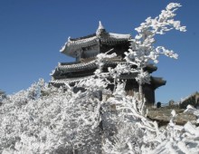 [KTX] 무주 덕유산 곤도라&영동 와인터널 하루 기차여행(서울출발)