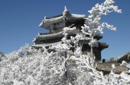 [KTX] 무주 덕유산 곤도라&영동 와인터널 하루 기차여행(서울출발)