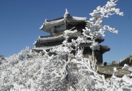 [KTX] 무주 덕유산 곤도라&영동 와인터널 하루 기차여행(서울출발)