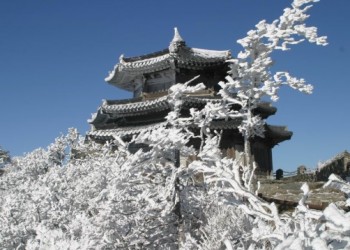 [KTX] 무주 덕유산 곤도라&영동 와인터널 하루 기차여행(서울출발)