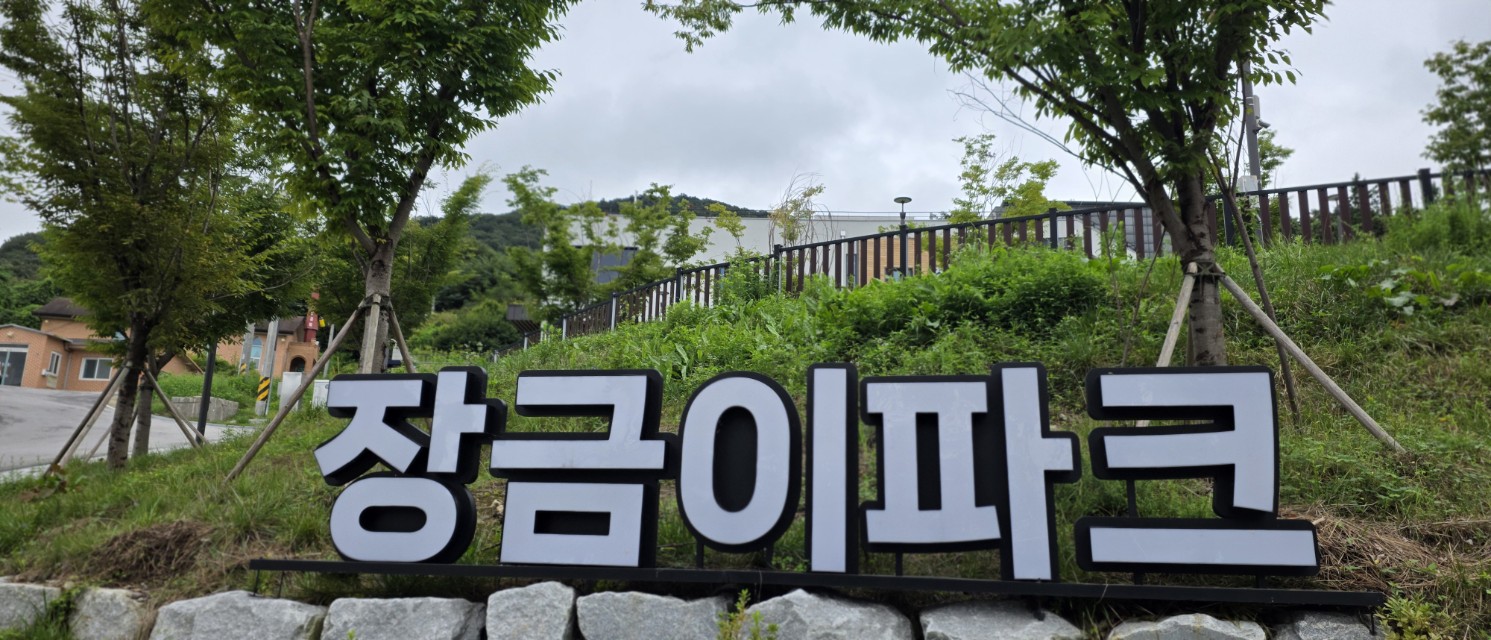 [국악와인열차] 6월 3,7일 정읍사공원 아양사랑숲 / 담양 죽화경 데이지