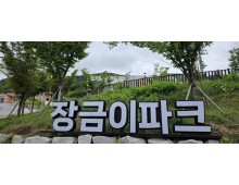 [국악와인열차] 6월 3,7일 정읍사공원 아양사랑숲 / 담양 죽화경 데이지