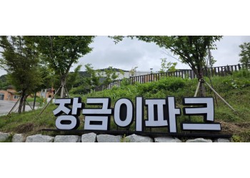 [국악와인열차] 6월 3,7일 정읍사공원 아양사랑숲 / 담양 죽화경 데이지