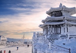 [KTX] 무주 덕유산 곤도라&영동 와인터널 하루 기차여행(부산출발)