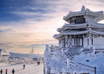 [KTX] 무주 덕유산 곤도라&영동 와인터널 하루 기차여행(부산출발)