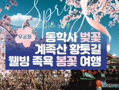 무궁화호 - 계룡산 동학사 벚꽃 & 계족산 황톳길 & 웰빙 족욕 여행(당일)