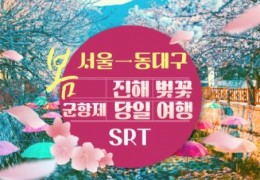 SRT - 환상의 진해벚꽃 & 군항제 여행 (당일) - 왕복 동대구역